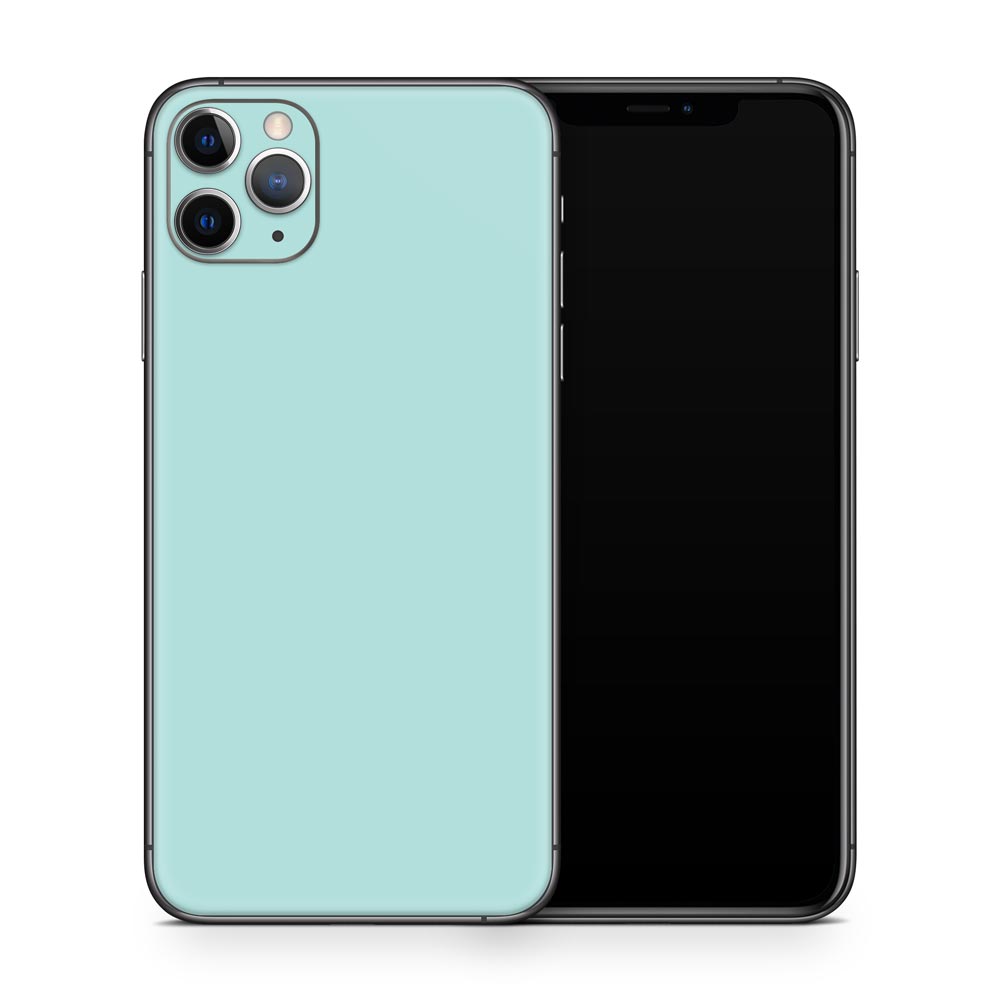 Mint iPhone 11 Skin