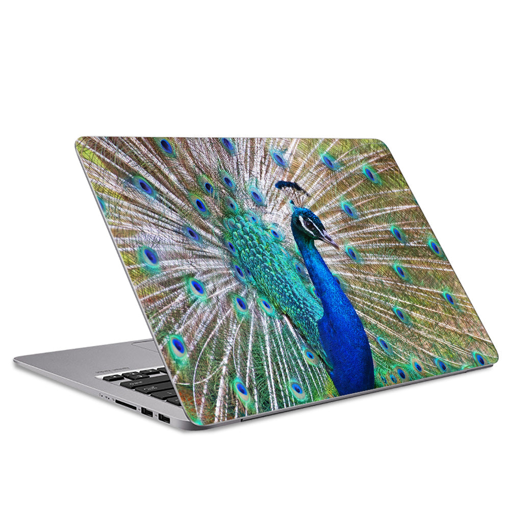 Peacock Majesty Laptop Skin